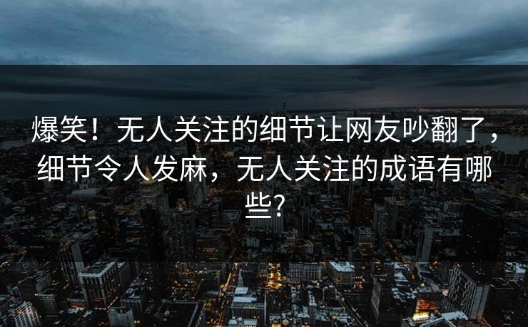 爆笑！无人关注的细节让网友吵翻了，细节令人发麻，无人关注的成语有哪些?