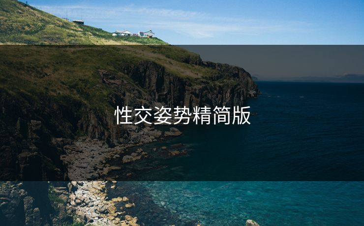 性交姿势精简版