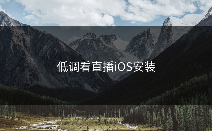 低调看直播iOS安装