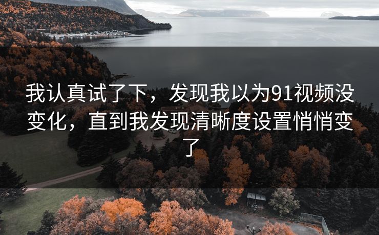 我认真试了下，发现我以为91视频没变化，直到我发现清晰度设置悄悄变了