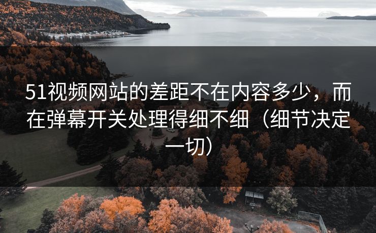 51视频网站的差距不在内容多少，而在弹幕开关处理得细不细（细节决定一切）