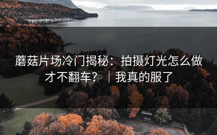 蘑菇片场冷门揭秘：拍摄灯光怎么做才不翻车？｜我真的服了