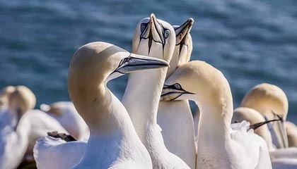 心凉半截!争议点背后的原因扎心了,越想越后怕,心凉一半