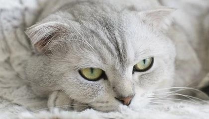 破防！某平台幕后引爆全网，越想越后怕