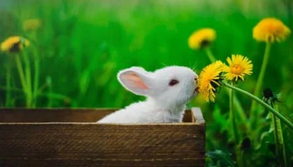 震惊!突然曝光原来一直被误解,内情第一次被公开